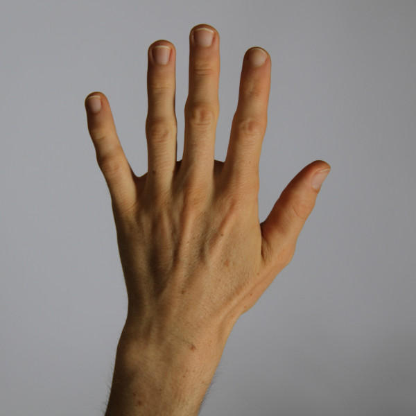 Hand against white background